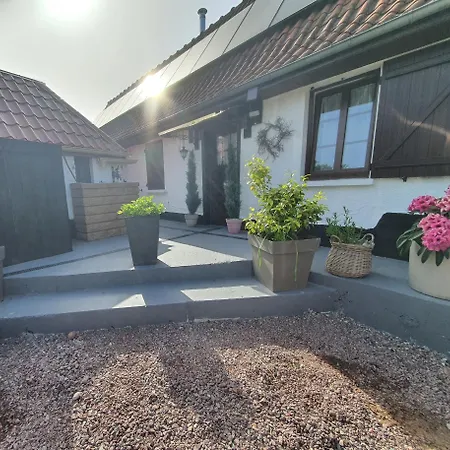 Maison Des Roses